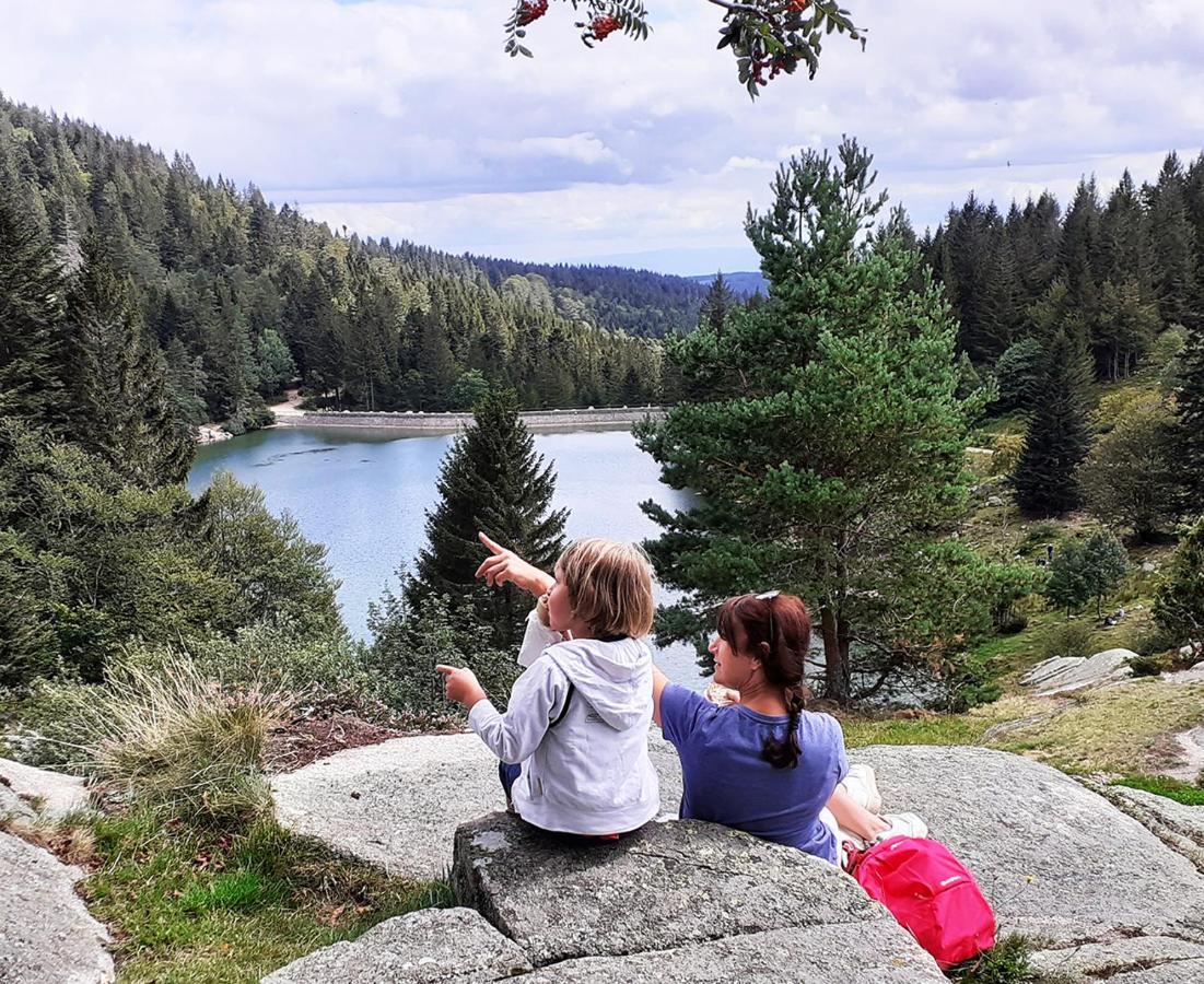 Chalet Hohneck 4 Etoiles, Vieux Bois Et Pierre, Spa, Sauna, Borne De Recharge Stosswihr Kültér fotó