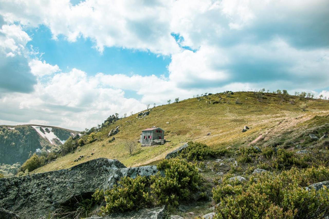 Chalet Hohneck 4 Etoiles, Vieux Bois Et Pierre, Spa, Sauna, Borne De Recharge Stosswihr Kültér fotó